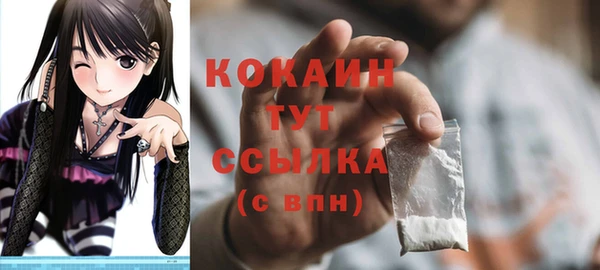 PSILOCYBIN Гусев