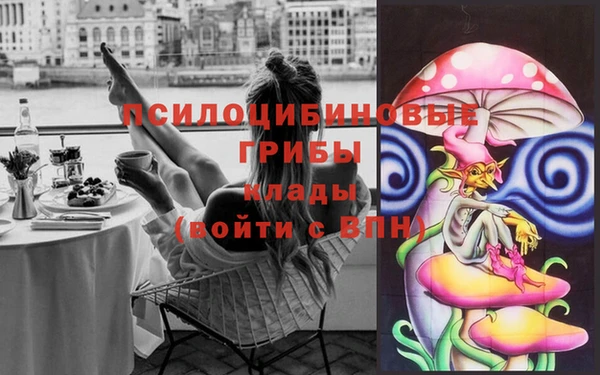 ешки Абаза