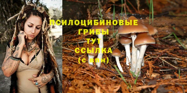 ешки Абаза