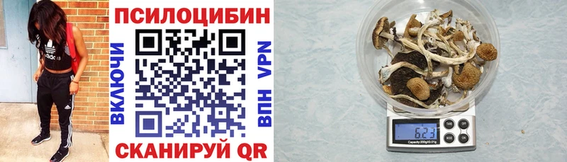 Галлюциногенные грибы мицелий  ссылка на мегу сайт  Екатеринбург  дарнет шоп 